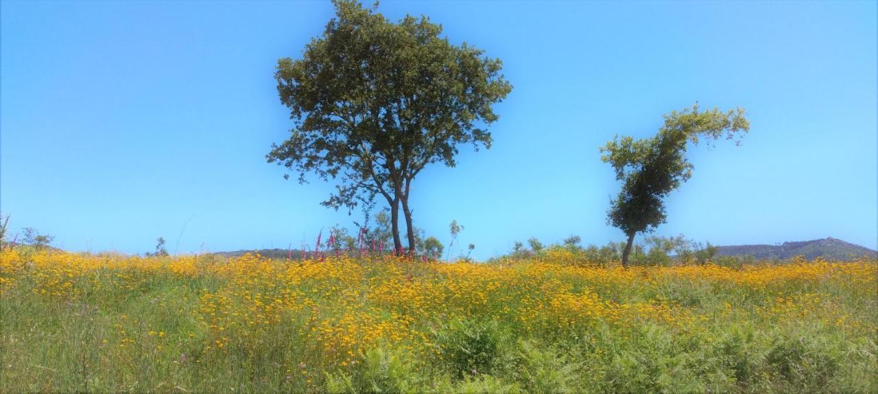 O Homem Verde Penela Esterno foto