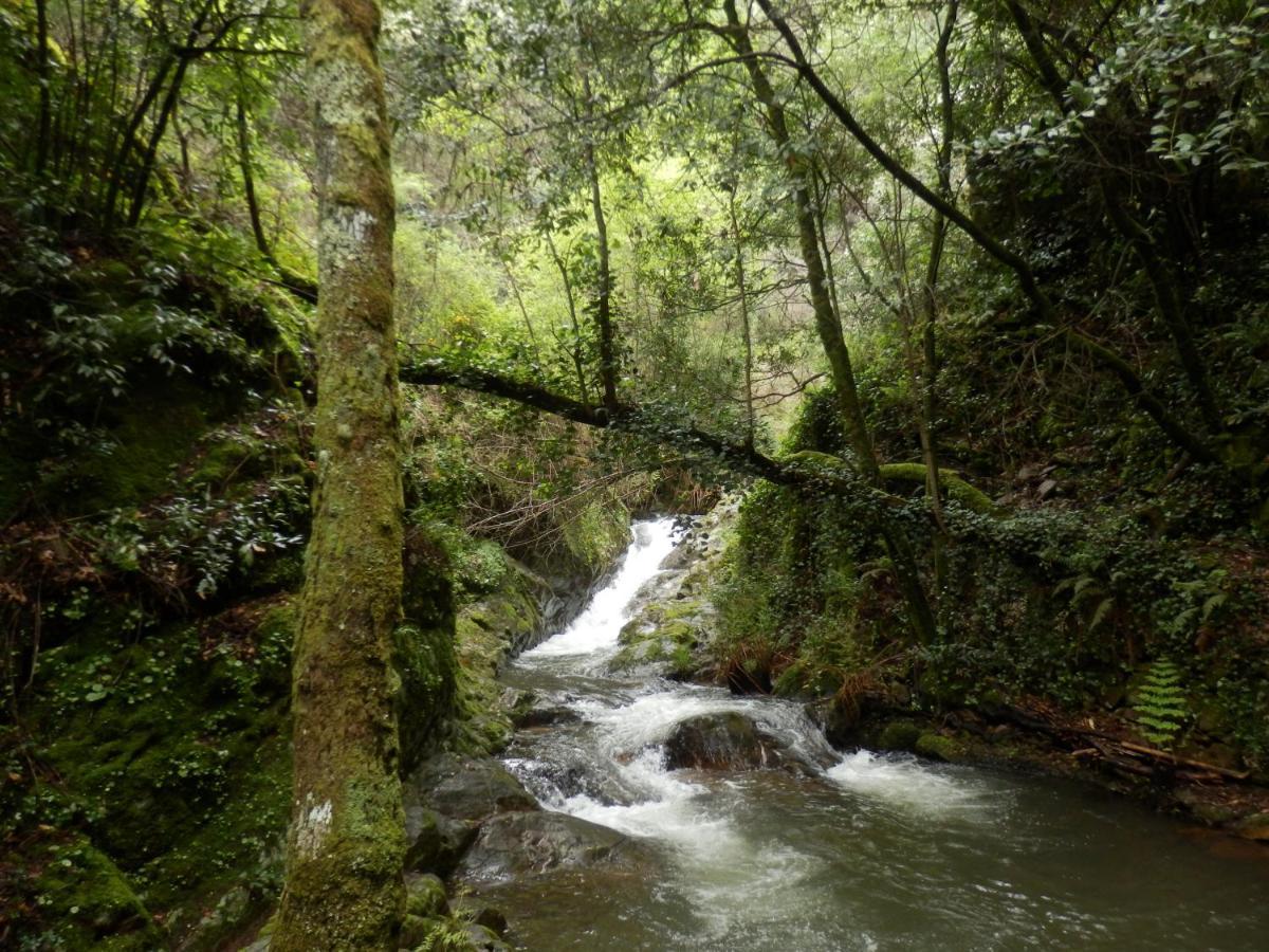 O Homem Verde Penela Esterno foto